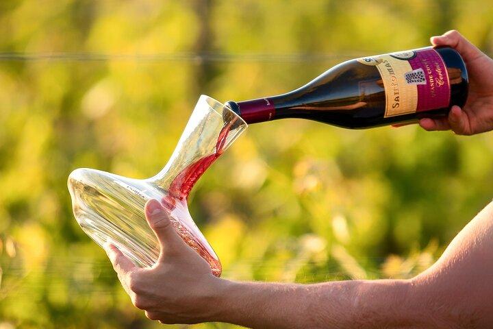 スロベニアのイストリア半島中心部でワインを楽しむ