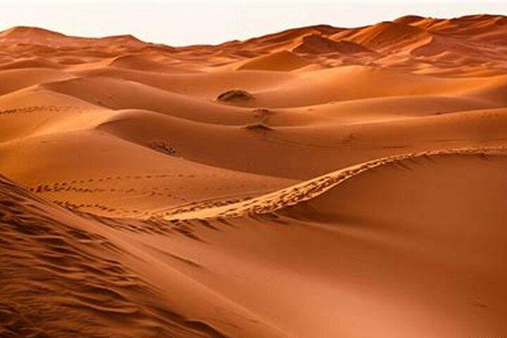 Abu Dhabi Evening Desert Safari Adventure