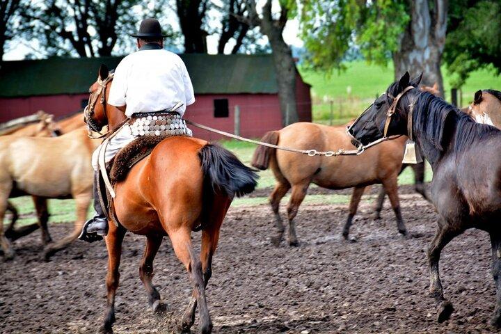 ブエノスアイレスからのガウチョ日帰り旅行：Santa Susana Ranch