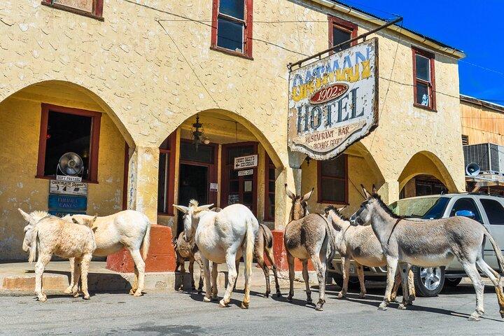 Oatman Mining Camp & Burros: tour storico della Route 66 da Laughlin