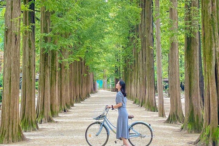 ナミ島、アルパカ、プチフランス、ソウル発Kガーデンツアー