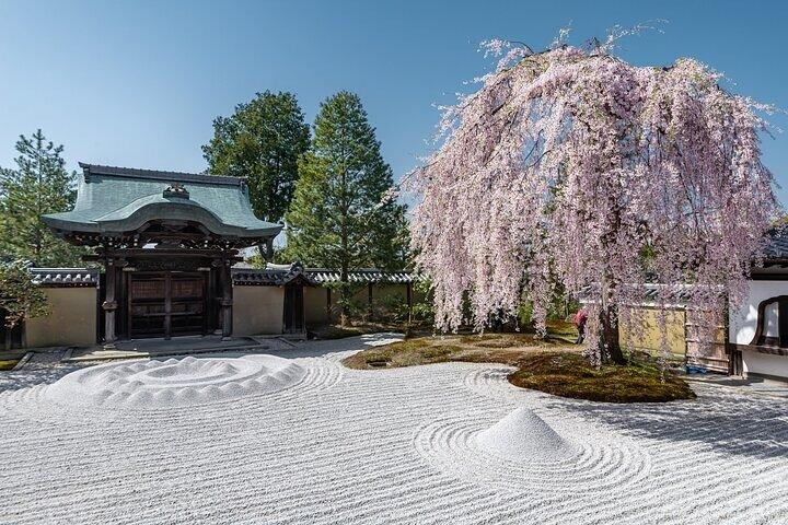 Tour del tempio di Gion e Kiyomizu per godersi Kyoto in breve tempo