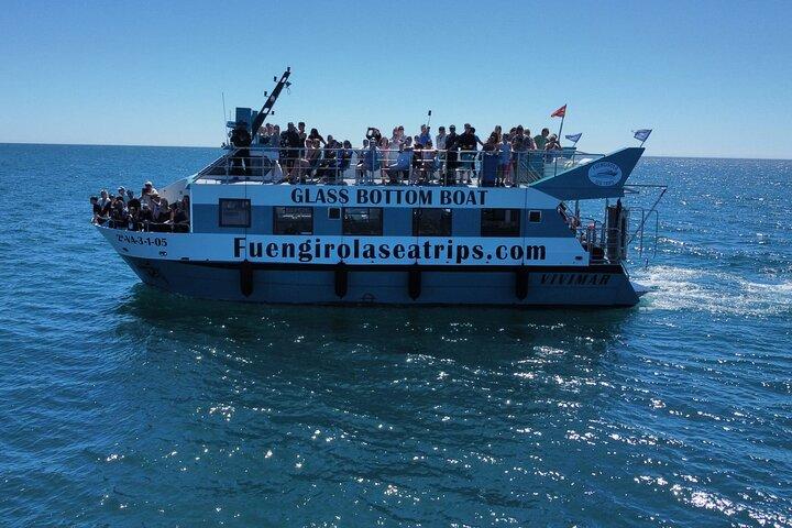 Delfinsafari på en katamaran i Fuengirola