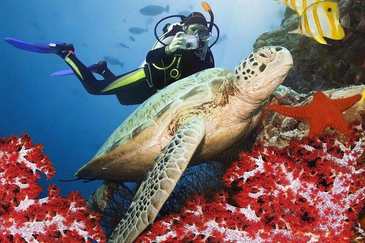 ケメル スキューバ ダイビング体験（ランチと送迎付き）
