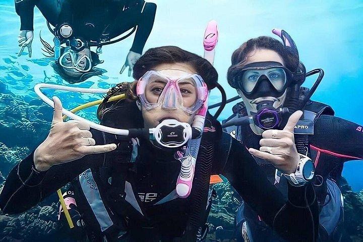 ケメル スキューバ ダイビング体験（ランチと送迎付き）