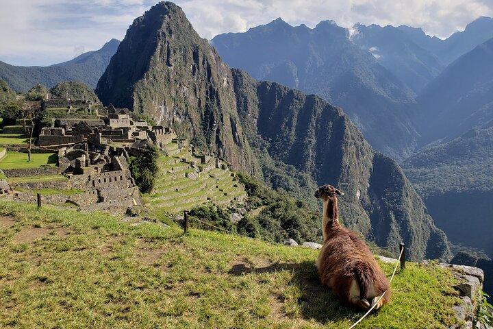 Explore Machu Picchu in One Day: Panoramic 360° Luxury Train
