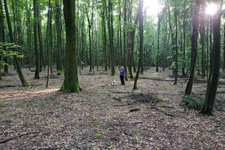 Excursão privada de caça às trufas a partir de Belgrado – Almoço com vinho