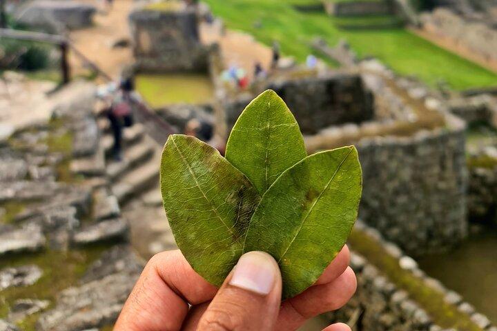 Explore Machu Picchu in One Day: Panoramic 360° Luxury Train