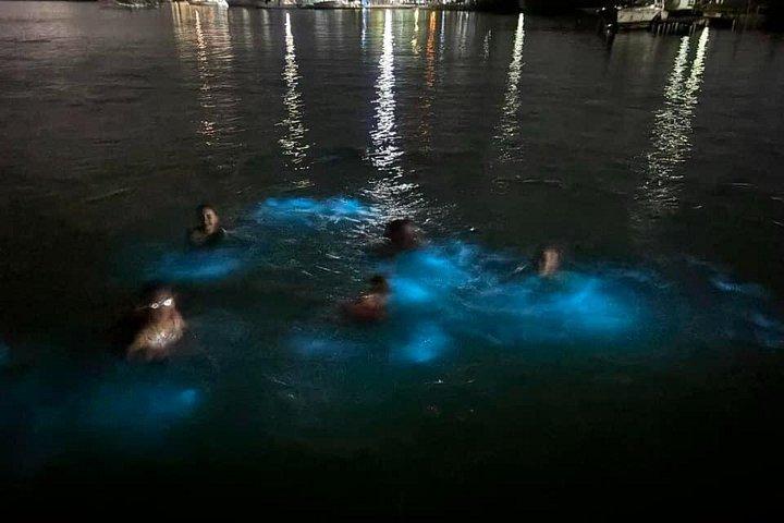 Luminous Lagoon 5 in 1 Experiences