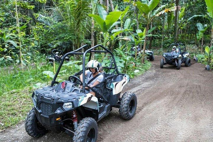 バリ・ウブドアドベンチャーパラダイス：バギー、ラフティング、サイクリング、トレッキング