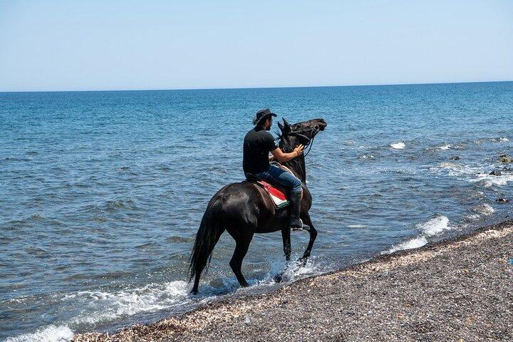 サントリーニ島の静かなブラックビーチ乗馬ツアー