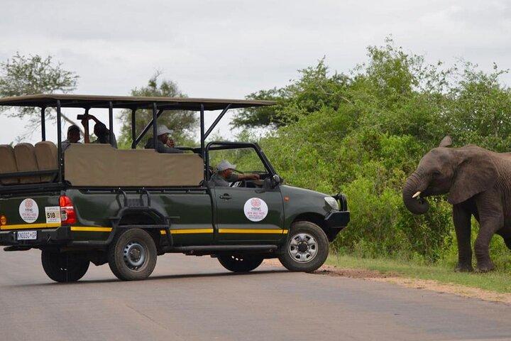 Safári Kruger de 2 dias com tudo incluído saindo de Nelspruit