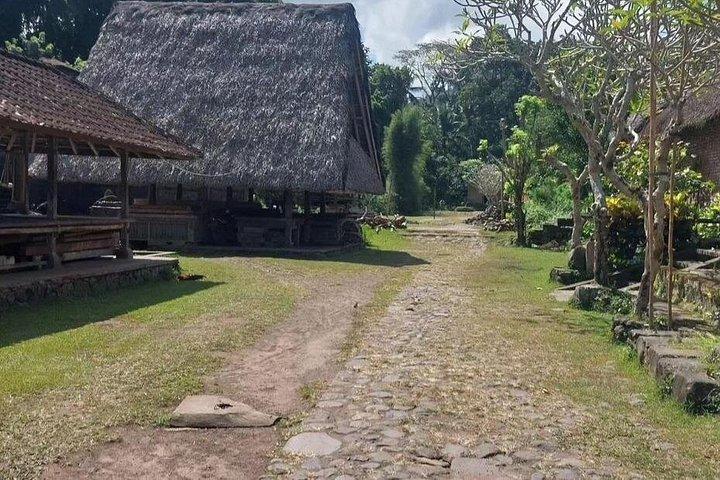 バリ島ブルーラグーンシュノーケリング、ティルタガンガ、トゥガナン村