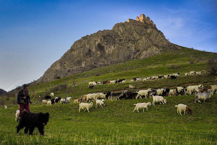 Excursión de un día a la mina de sal de Turda, el pueblo de Rimetea y la fortaleza de Coltesti