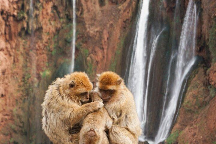 Ouzoud Waterfalls Marrakechからのガイドツアー