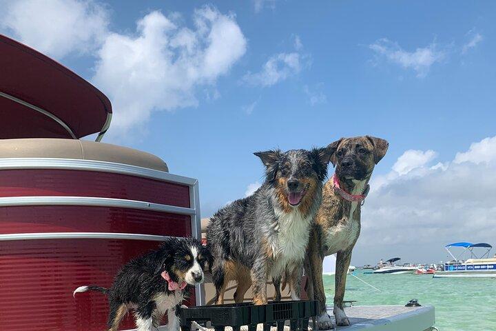 24ft (12 passagiers) Ponton Boat Rental in Destin / Crab Island