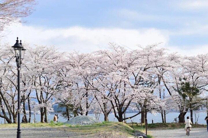 富士山ツアー : 5合目 新倉山浅間公園＆抹茶東京