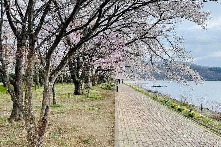 富士山ツアー : 5合目 新倉山浅間公園＆抹茶東京