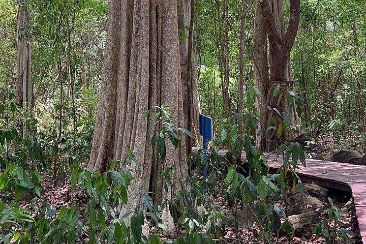 キャットティエン国立公園アドベンチャーサイクリング自然日帰りツアー