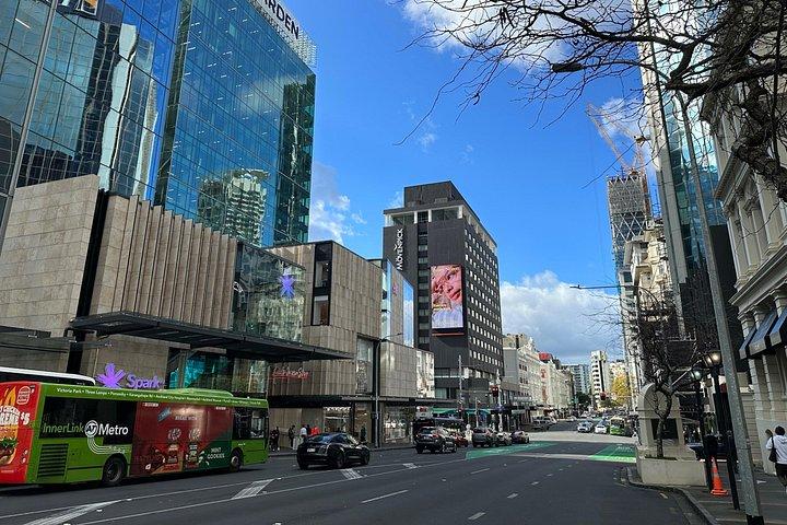 Auckland City Highlights Tour by Car or Van