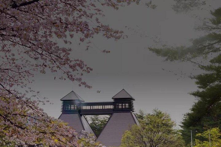 富士山と温泉（タトゥーOK ） ＆ 日本酒＆ワイン＆ウイスキーツアー