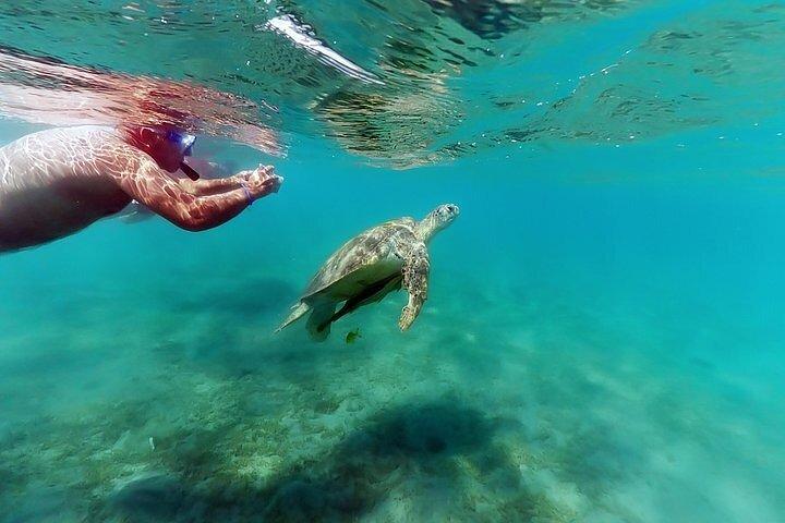 マルサ・アラムからのシュノーケリング付きマルサ・ムバラク