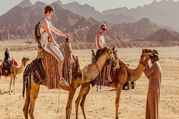 Bedouin Village Super safari Quad com jantar e show : Marsa Alam
