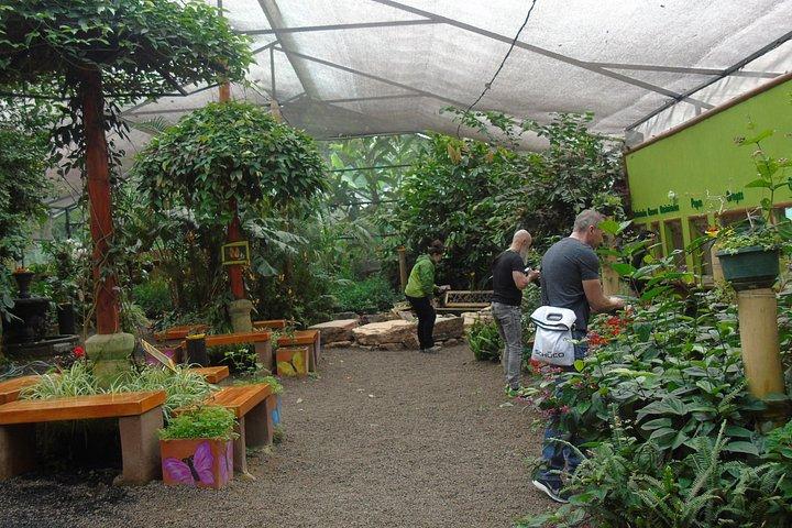 Mindo Cloud Forest dagtour vanuit Quito met lunch