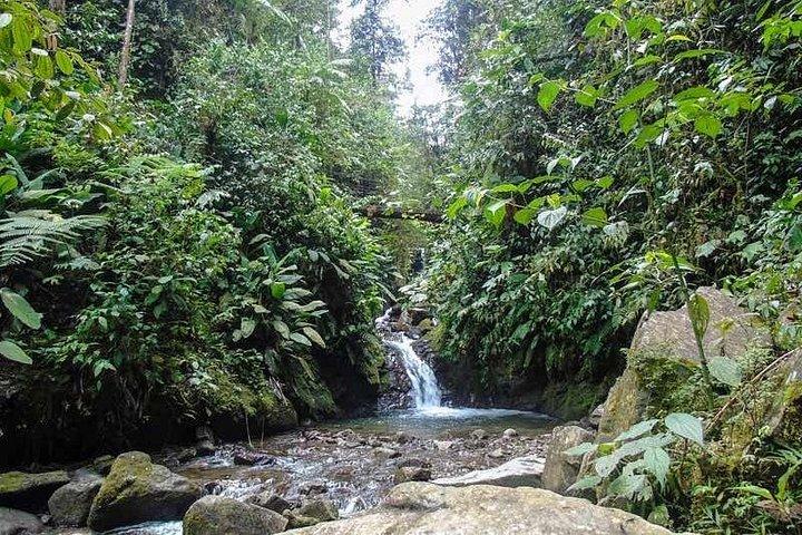 Mindo Cloud Forest dagtour vanuit Quito met lunch