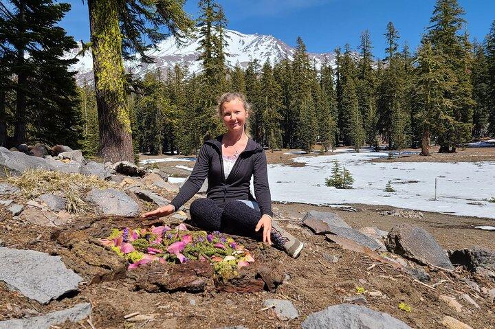 Galactic Origins Mount Shasta Tour