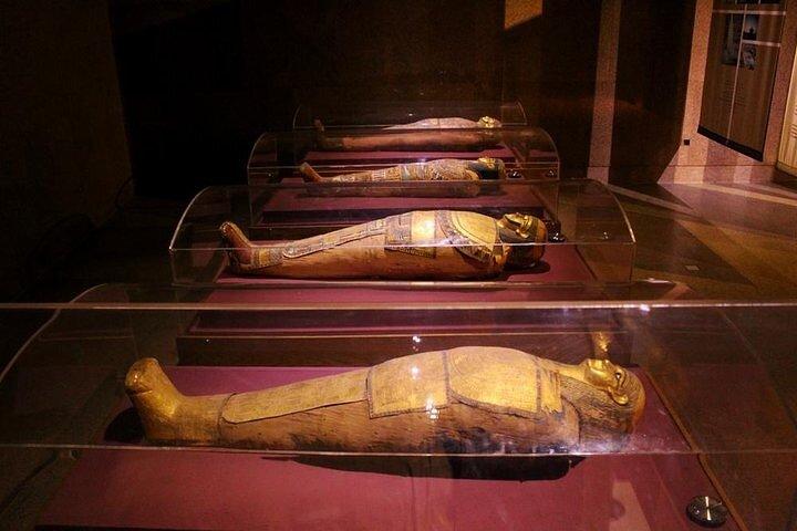 Tour privato al Museo nubiano di Assuan e al villaggio nubiano in motoscafo