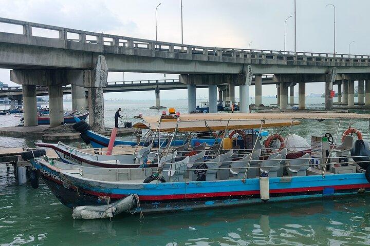 8 horas de passeio em Penang