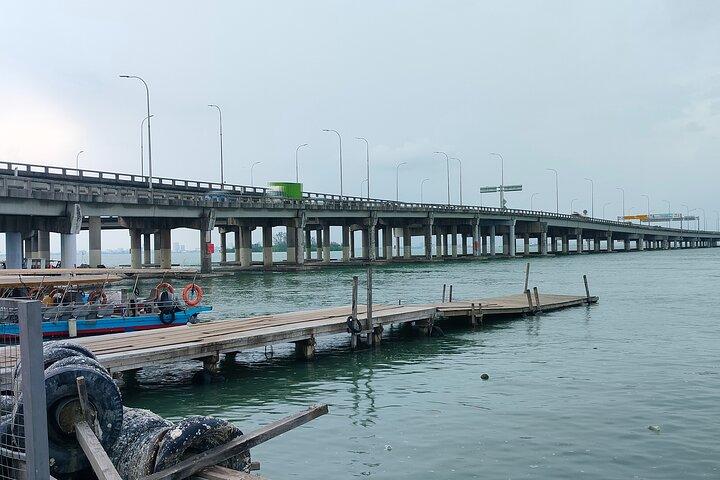 8 timers Penang-tur