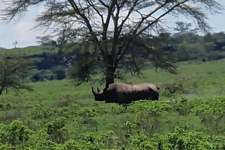 6 dages privat tur i Mt Kenya Circuit Wild Safari