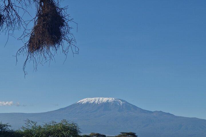 6 dages privat tur i Mt Kenya Circuit Wild Safari