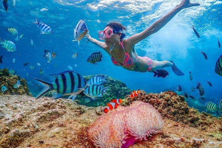 3 Tage Lombok Sharing Tour