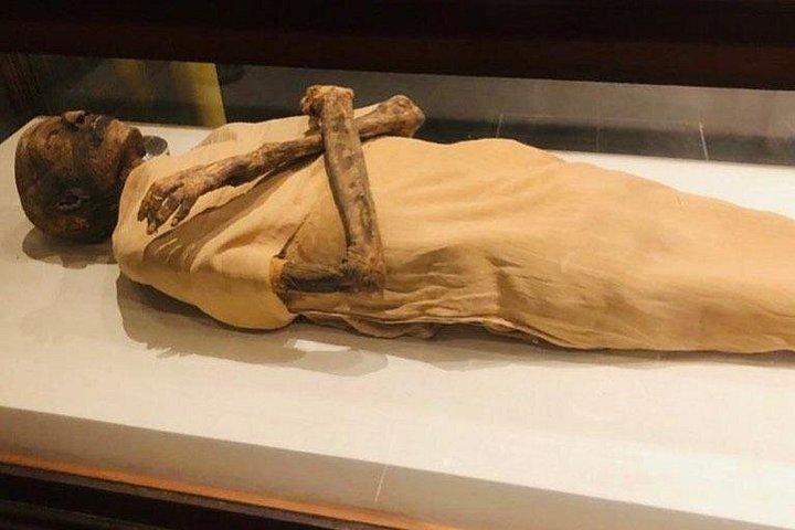 ギザのピラミッドと大スフィンクス、王家のミイラ博物館