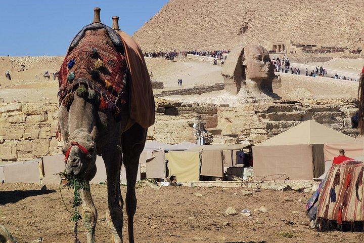 ギザのピラミッドと大スフィンクス、王家のミイラ博物館