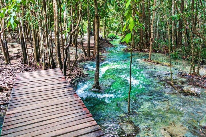 Ganztägige Krabi-Dschungeltour mit heißer Quelle und Tiger Cave-Tempel