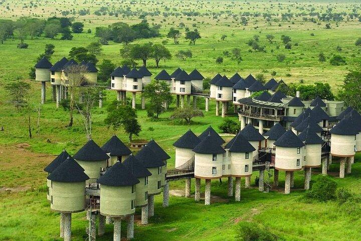 Mombasa : Tsavo Ost Safari mit Sonnenaufgang und Sonnenuntergang Pirschfahrten