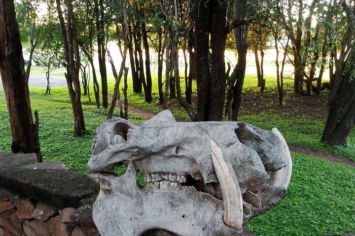 Eswatini - Ganztagesausflug ab Maputo