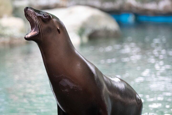 Billet til Audubon Zoo