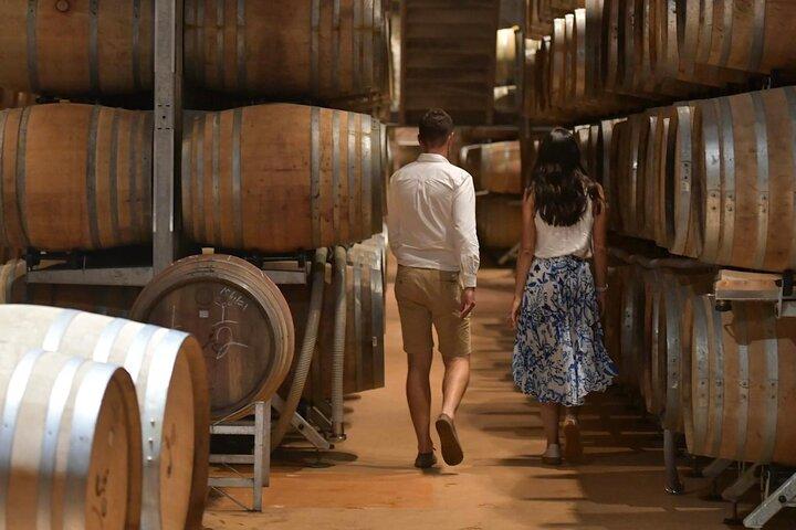 Città del Capo : tour di un'intera giornata con tram del vino Franschhoek e Stellenbosch
