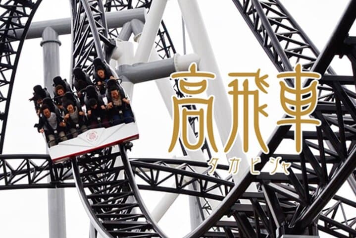 Fuji-Q Highland Amusement Park Private Tour with English Driver