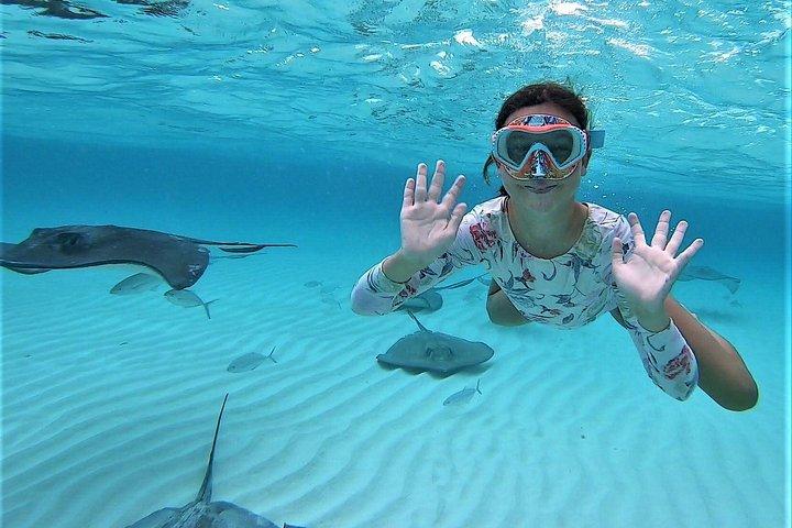 Private Charter 28ft Grady White. Stingrays, Snorkeling, Starfish