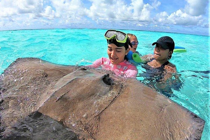 Private Charter 28ft Grady White. Stingrays, Snorkeling, Starfish