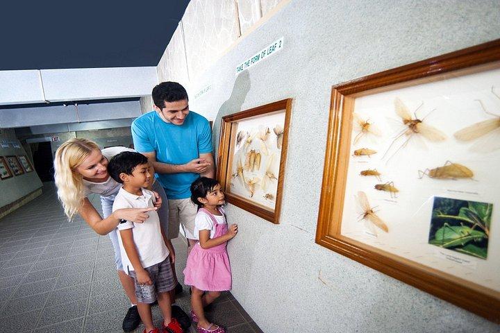 Kuala Lumpur Half Day Highlights Tour with Aquaria KLCC