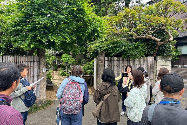 大宮盆栽村プライベートツアー（現地ガイド付き）