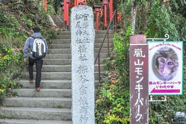 プライベート日帰りツアー - 京都嵐山と竹林の完璧なツアー！