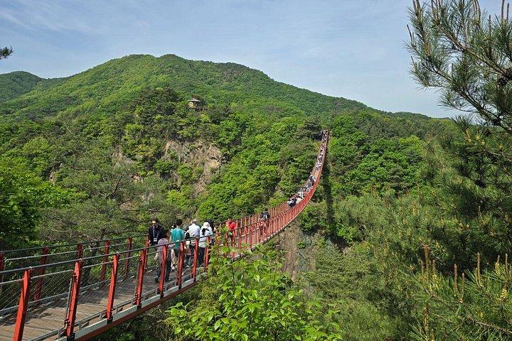 第3トンネルと赤い吊り橋で巡るソウルDMZツアー